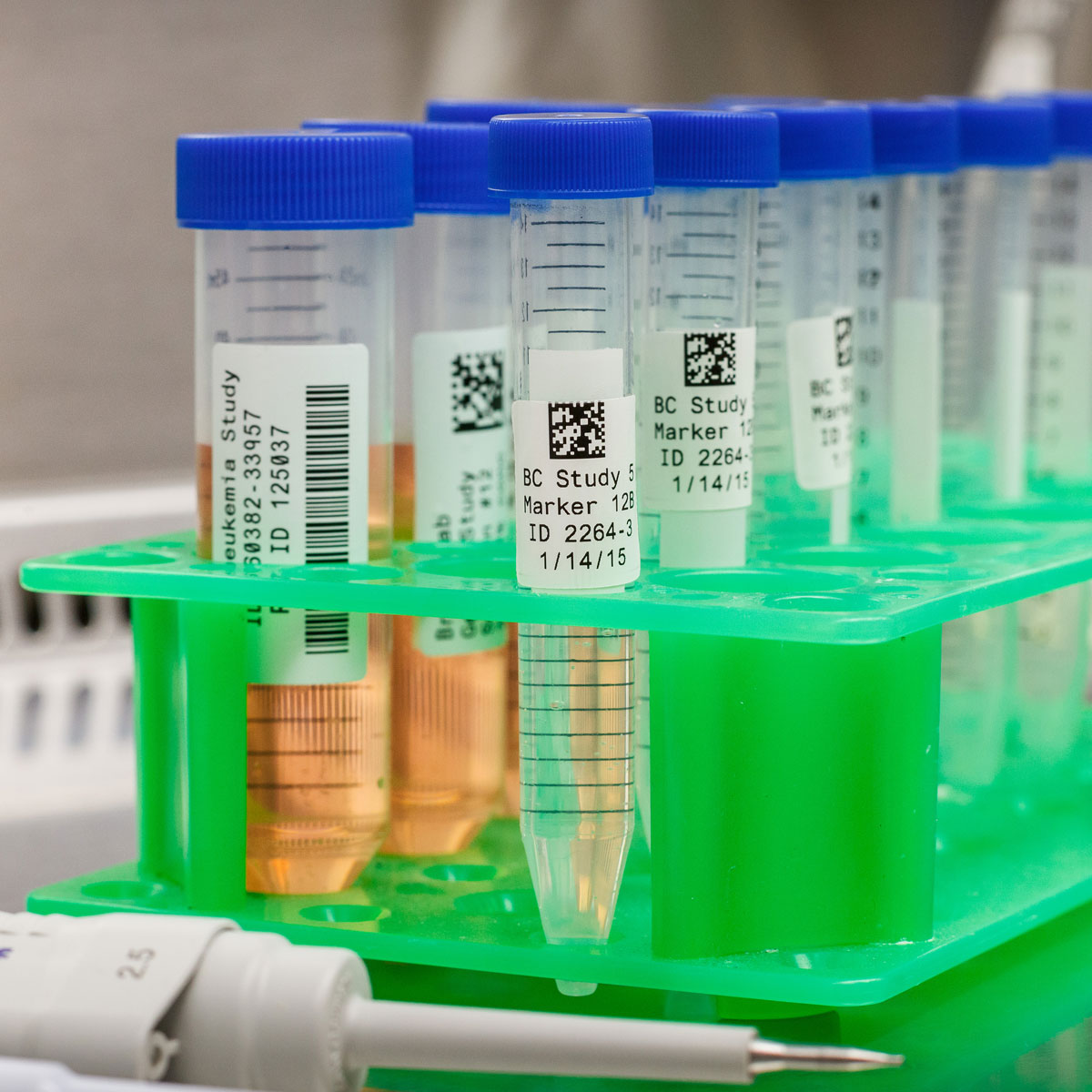 Brady Workstation Laboratory Identification Software Suite 3 Brady Workstation Laboratory Identification Software Suite