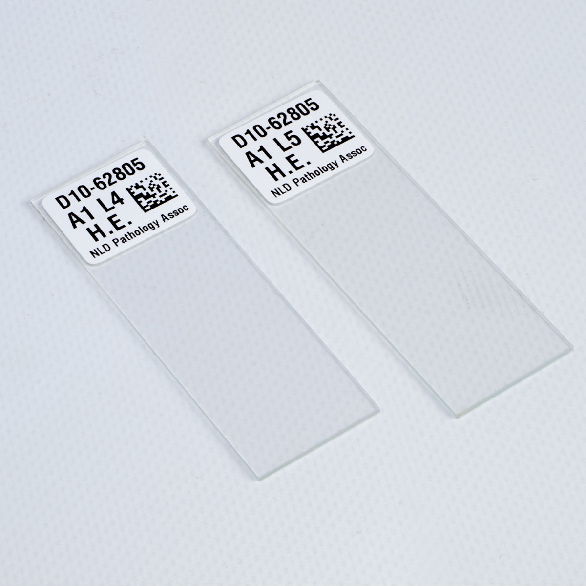 Brady Workstation Laboratory Identification Software Suite 4 Brady Workstation Laboratory Identification Software Suite