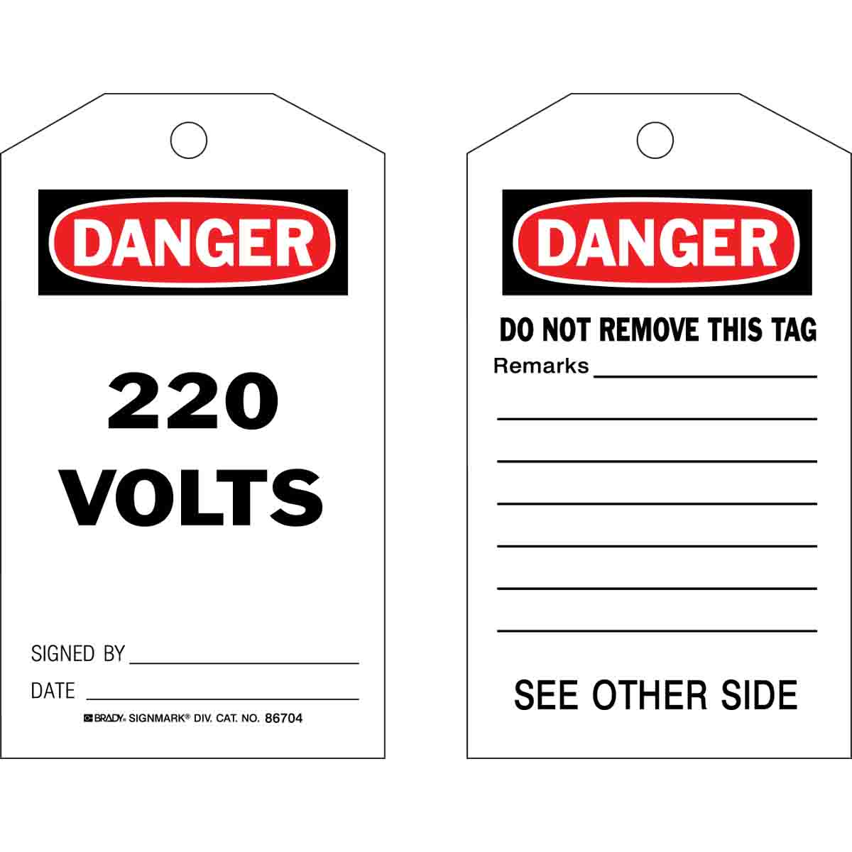 Accident Prevention Tags - 220 VOLTS