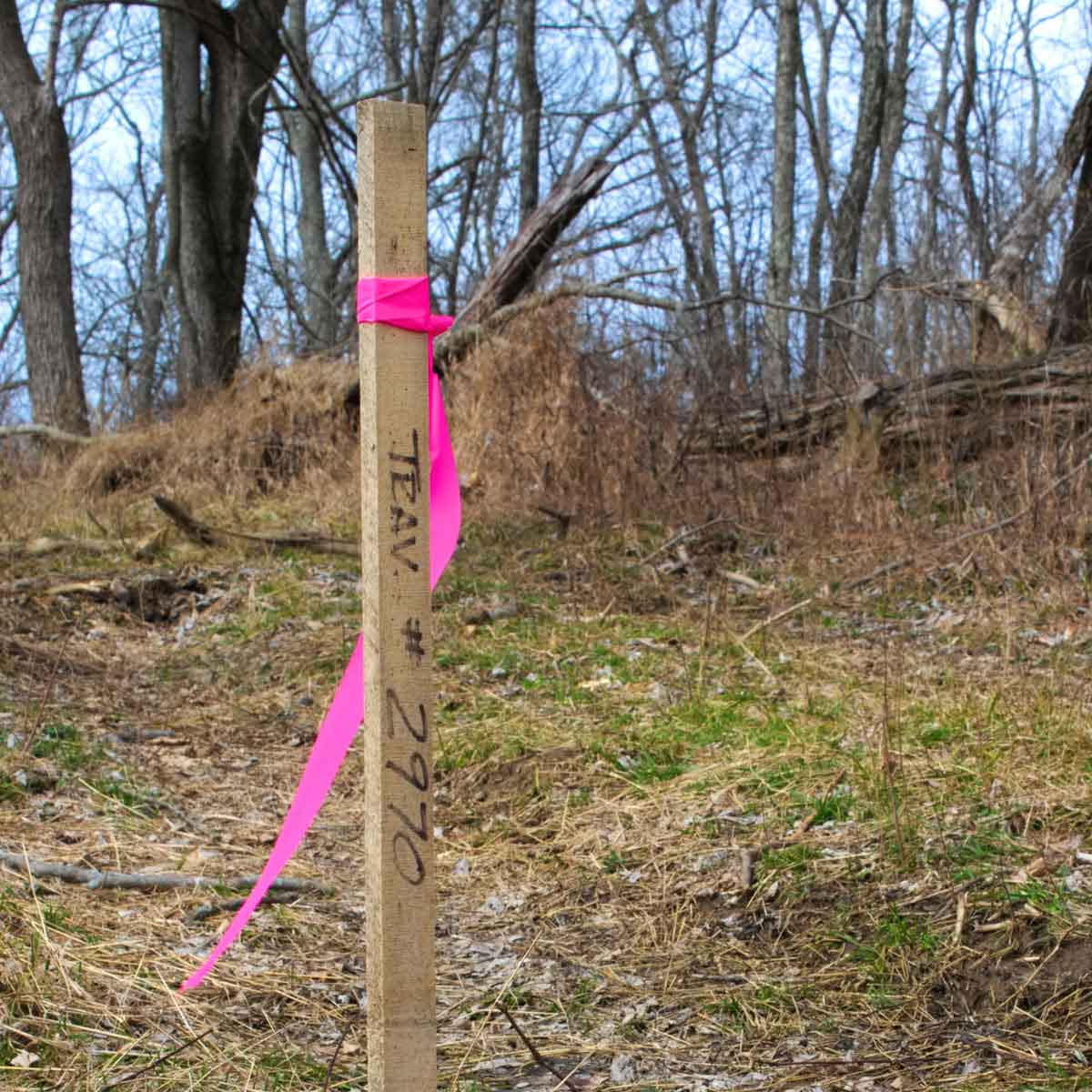 Flagging Tape 5 Flagging Tape